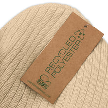 Load image into Gallery viewer, Be Nice Ribbed knit beanie
